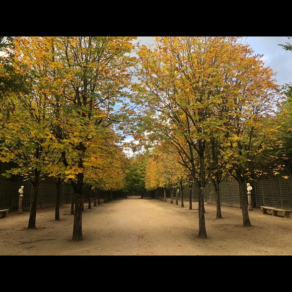 freemansarah89